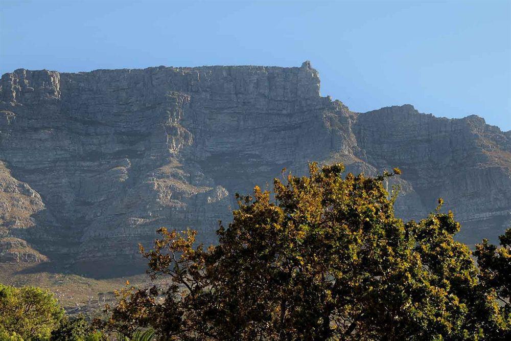 Three Boutique Hotel Cape Town Exterior foto